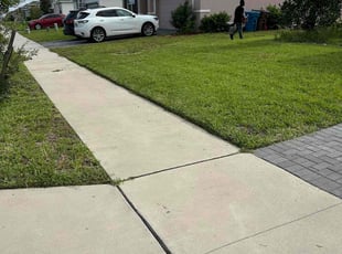 Daniel P.'s grass cutting service result