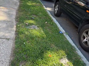 Jocelyn G.'s turf care service result