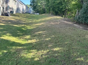 Charles B.'s lawn care service result