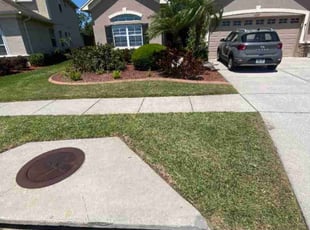 Judy W.'s turf maintenance service result