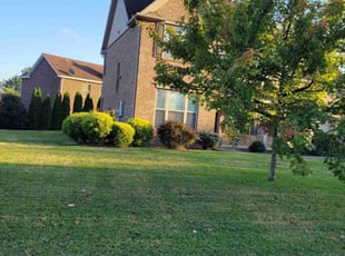 Jessica F.'s lawn care services service result