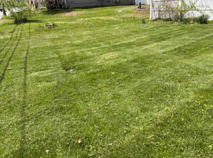 Valentina G.'s lawn care services service result