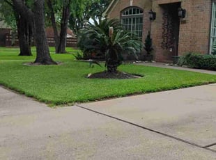 T E.'s lawn care services service result