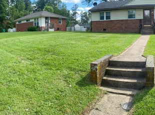 Sean T.'s grass cutting service result