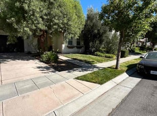 Cindy O.'s Leaf Removal service result