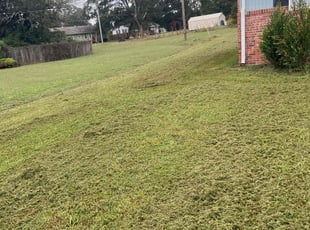 Eric F.'s lawn service service result