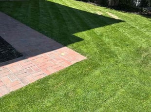 Jeanette M.'s turf care service result