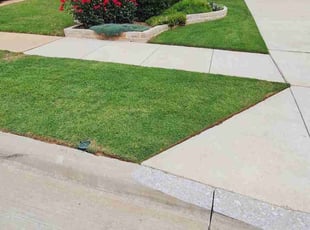 Joslin D.'s lawn service service result