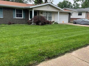 Maria D.'s lawn service service result
