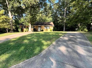 Tim R.'s grass maintenance service result