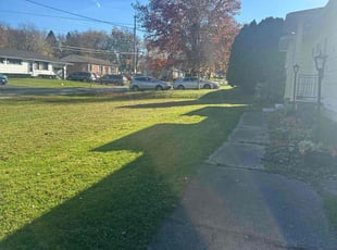 Jodi B.'s lawn care services service result