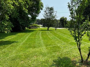 Gena M.'s lawn care service result
