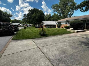 Helene D.'s Bush Trimming service result