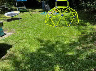 Ron L.'s grass cutting service result