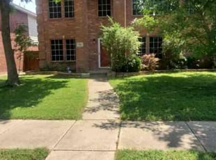 Linsey L.'s lawn care service result