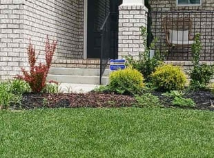Dale W.'s lawn service service result