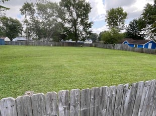 Deborah M.'s yard work service result