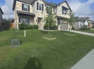 David P.'s turf care service result