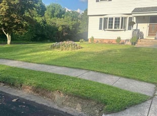 Nolan C. H.'s grass maintenance service result