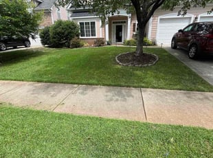 Tee P.'s turf care service result