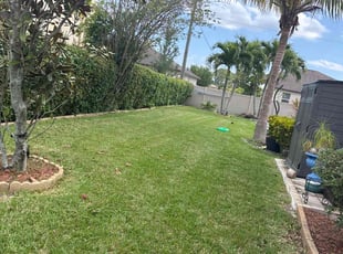 Gregg G.'s lawn service service result