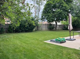 Diane M.'s turf care service result