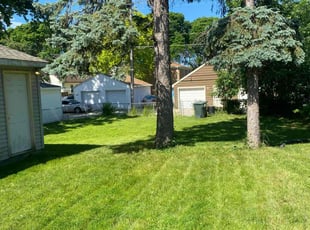 Teri M.'s grass cutting service result