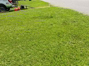 Levorn S.'s lawn maintenance service result