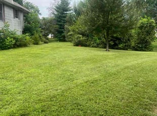 Sharon D.'s lawn maintenance service result