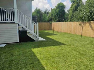 Dante B.'s lawn care service result