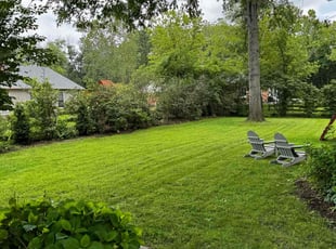 HANNAH H.'s grass maintenance service result