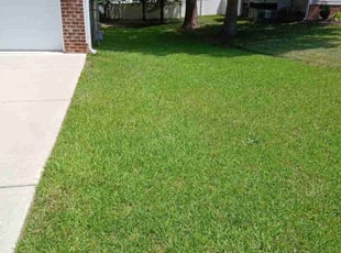 Robert M.'s turf care service result