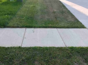 Katrina A.'s lawn service service result