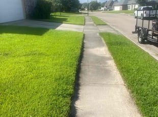 Abby G.'s grass cutting service result