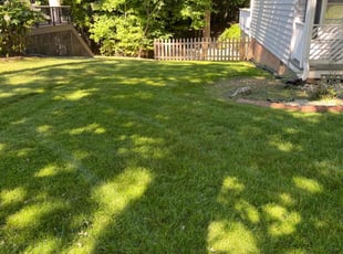 Diego U.'s lawn maintenance service result