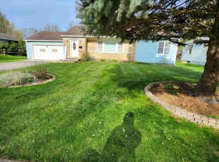 Abood A.'s turf maintenance service result