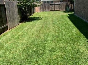 Beverly L.'s lawn service service result