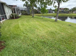 Greg D.'s grass cutting service result