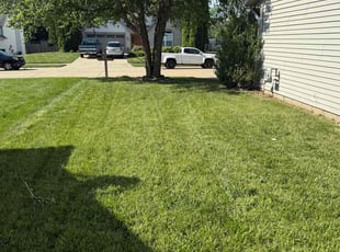 Sue H.'s turf maintenance service result