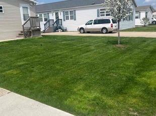 norvell C.'s grass cutting service result