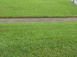 William M.'s lawn service service result