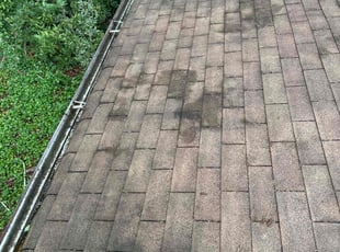 Timothy J.'s Gutter Cleaning service result