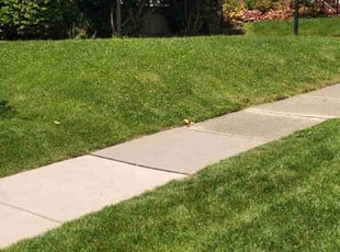 Louis M.'s Bush Trimming service result