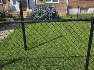 Jennifer H.'s grass cutting service result