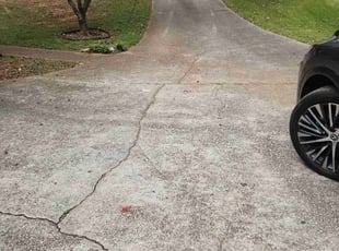 Karinne H.'s turf care service result