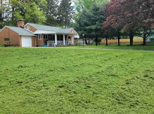 Shannon M.'s lawn service service result