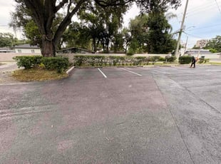 Erica S.'s Bush Trimming service result