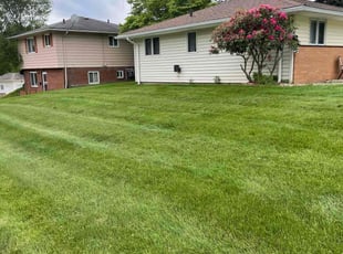 Michael T.'s lawn care service result