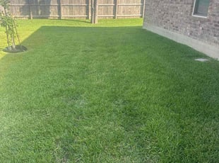 Marlene T.'s turf care service result