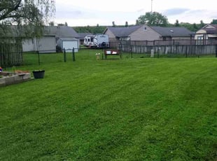 Amanda M.'s lawn care services service result